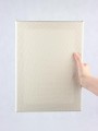 IMG_5227.jpg