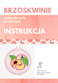 Zdjęcie okładka instrukcji Peach.png